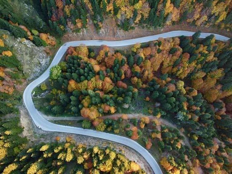 Yedigöller Milli Parkı ve Gölcük Tabiat Parkı’na çeşitli yasaklar getirildi