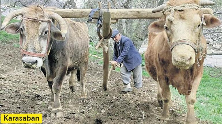 Halil Rıfat Paşa’nın tenbihnameleri