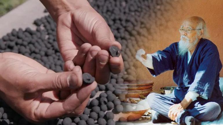 Çöle çeviren de yeşerten de kömür Siyah toplar devrede: Buharlı trenin yarasını sarıyor