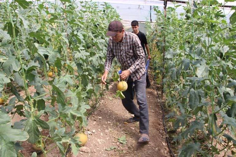 Tanesini 300 TLye satıyor: Yapamazsın dediler, yaptım