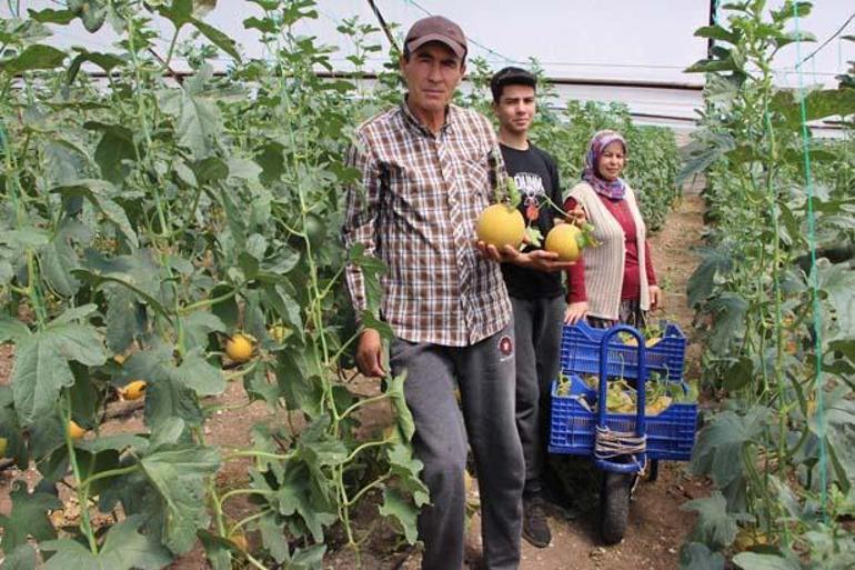 Tanesini 300 TLye satıyor: Yapamazsın dediler, yaptım