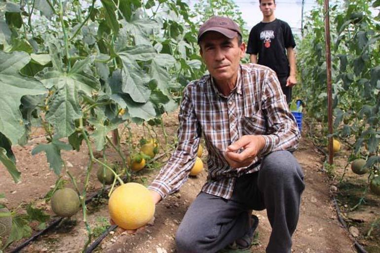 Tanesini 300 TLye satıyor: Yapamazsın dediler, yaptım