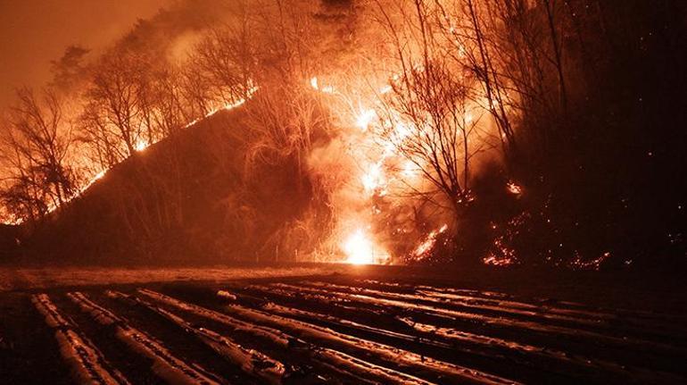 Güney Koredeki orman yangınları 15 bin hektarlık alanı kül etti