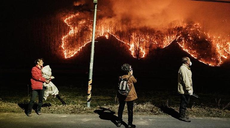 Güney Koredeki orman yangınları 15 bin hektarlık alanı kül etti