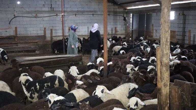 Anne ve kızı devlet desteği ile işlerini büyüttü: Allah devletimizden razı olsun