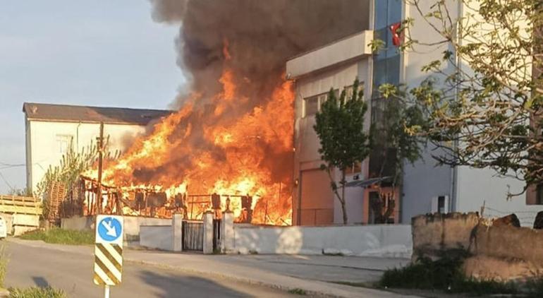 Pendikte palet fabrikasında yangın Ekipler müdahale ediyor