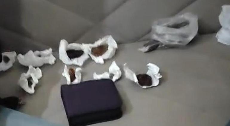 Köpekleri parçalayan doktorun evinden çıkanlar şoke etti Hepsini tek tek paketlemiş