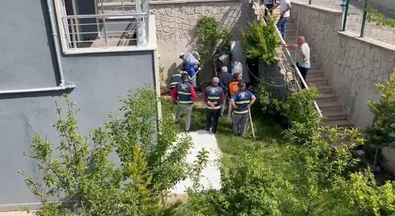 Köpekleri parçalayan doktorun evinden çıkanlar şoke etti Hepsini tek tek paketlemiş