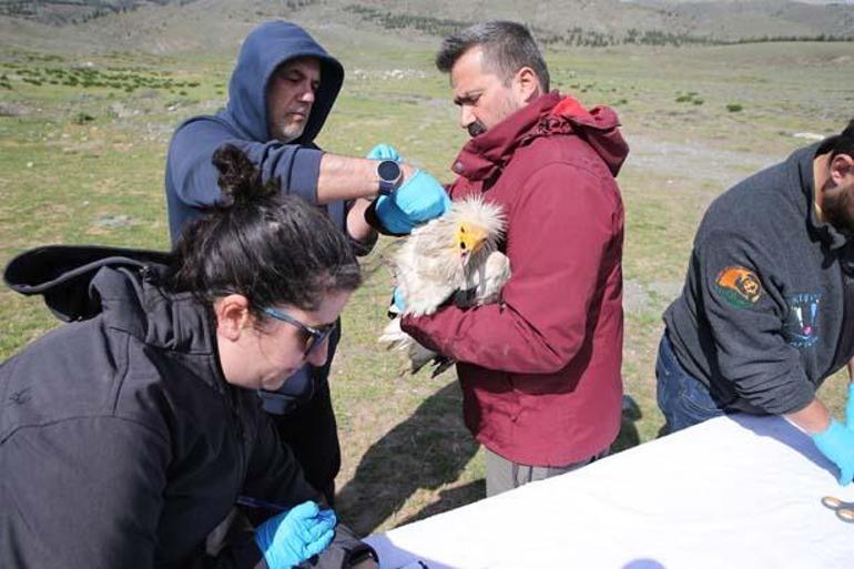 Midasın 101 bin kilometrelik rotası Eskişehirde şaırtan karşılaşma: Türkiyede ilk ve tek
