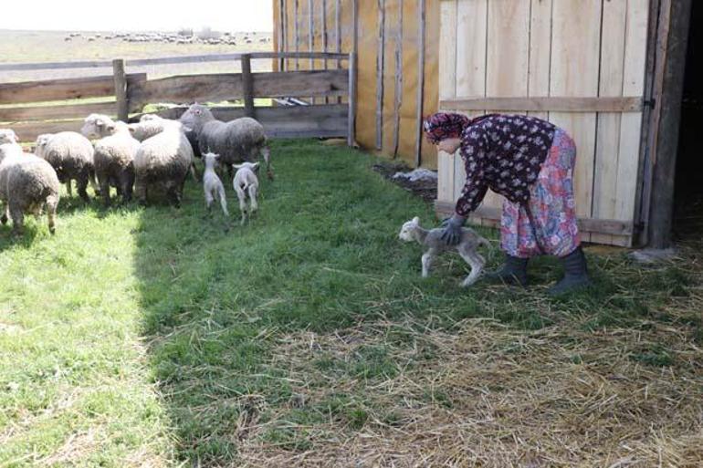 Okuldan sonra şalvarını giyip köy hayatına dönüyor Sosyal medyada ilgi odağı oldu