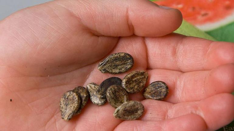 Karın ağrısı sandı, meğer taşmış Hurma ile zeytin tek suçlusu: Kimse yutmasın