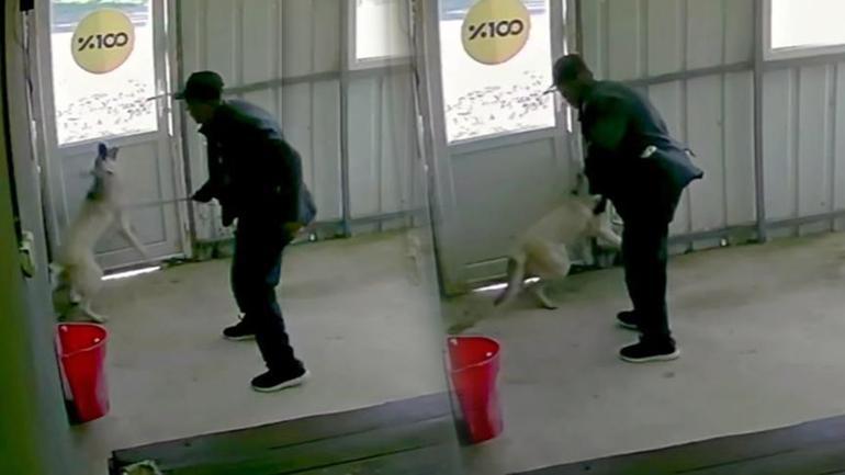 81 yaşındaki cani Köy kahvesinde bakılan köpeğe dehşeti yaşattı