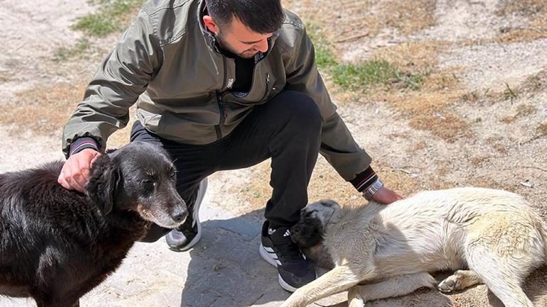 81 yaşındaki cani Köy kahvesinde bakılan köpeğe dehşeti yaşattı