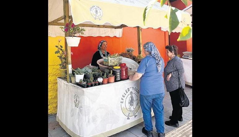 Efeler Yolu’nu merak ve keşif ruhu yürütüyor