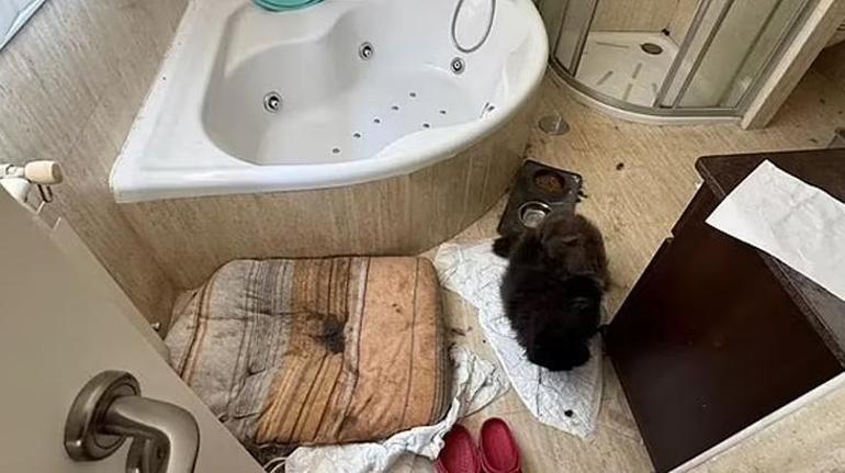 Üç çocuğunu dört yıl boyunca korku evinde tuttu