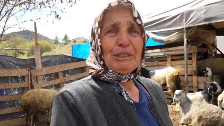 Sabah uyandılar manzarayı görünce şoke oldular Eşimden bile kıskanıyordum