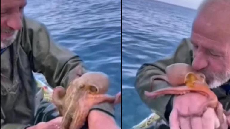 Atlantikten Marmaraya geldi Denizde alarm