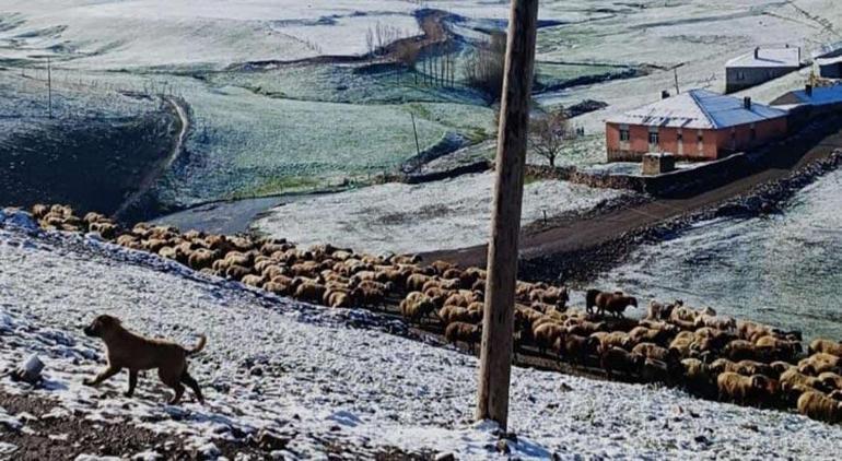 Mayıs ayında kar yağışı şaşırttı İlçe beyaza büründü