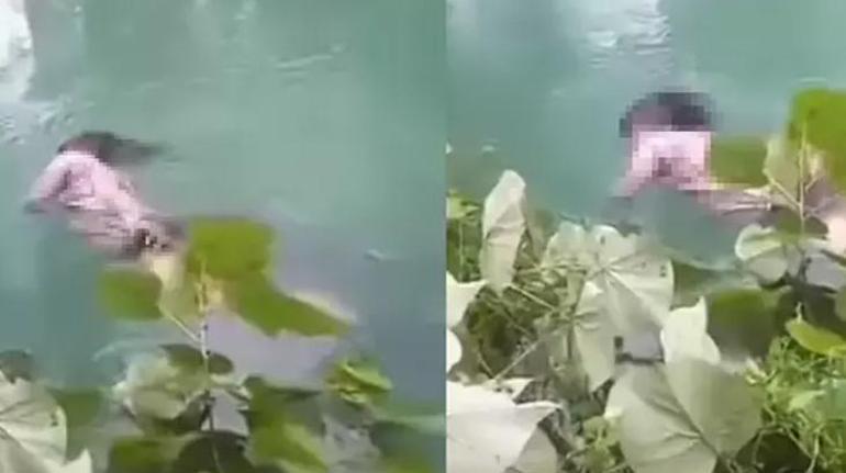 Floridada timsah şoku Kürek çekerken canından oldu