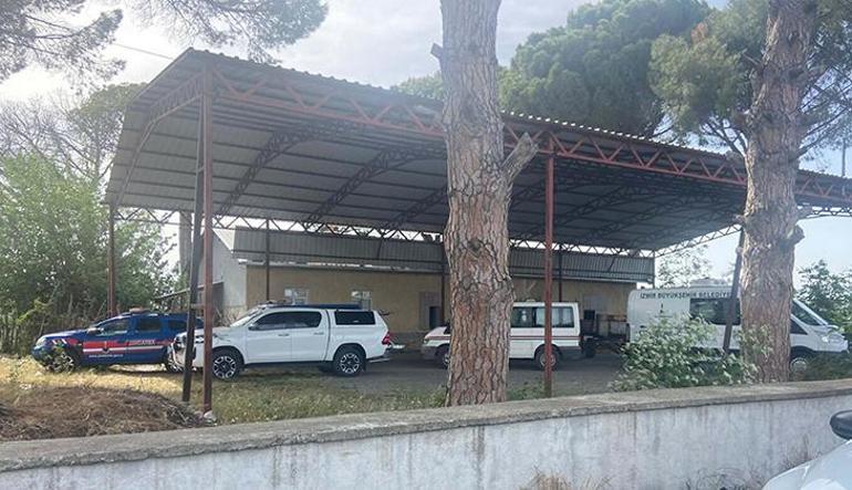 İzmirde dehşet veren olay: Sevgilisiyle ağaca asılmış halde bulundu