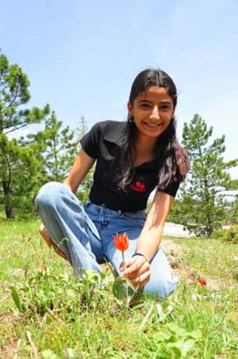 Ömrü sadece 10 gün Dokunan yanar: Cezası 557 bin TL