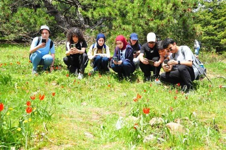 Ömrü sadece 10 gün Dokunan yanar: Cezası 557 bin TL