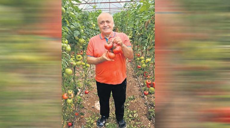 Sicili lekeliler ekranda olmamalı