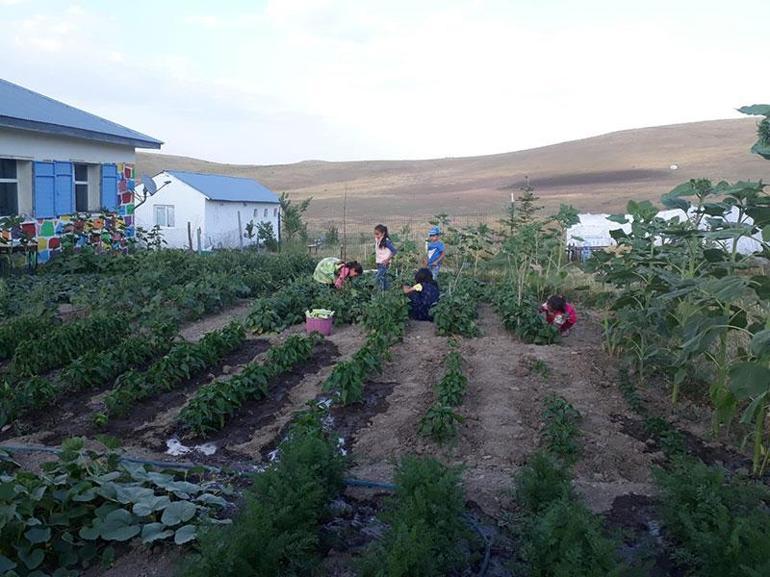 Susuz köyün çilekleri Yırtık kara lastik mesleğe bağladı: En büyük kazancımız