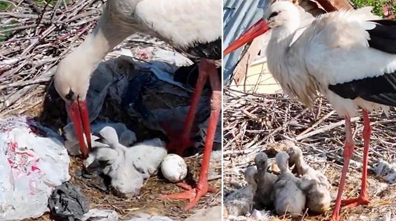 Tam zamanında mucize Köyü terk etmediler Anneler Günü’nde ‘anne’ oldular
