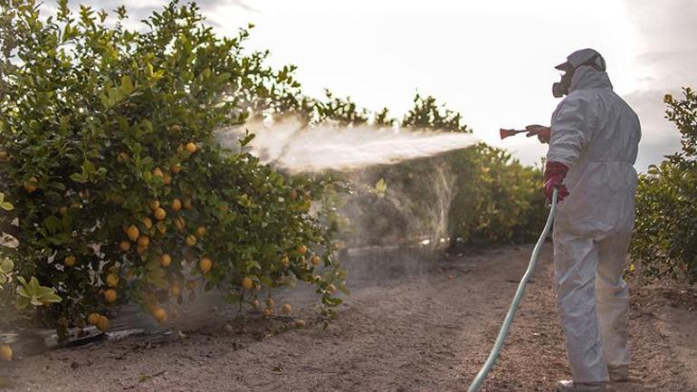 It causes attention deficit The invisible threat to healthy eating: Pesticides