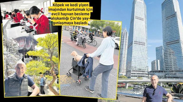 Mucizenin sırrı eğitim