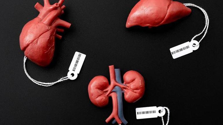 Yaşamak istedi, bedeli insanlık suçu oldu Kanlı organ nakli kâbusu: Bilmiyordum