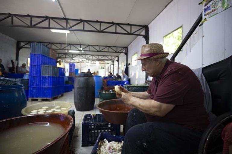 Eli hızlı 20 erkek ekip kurdu Günlük ortalama kazanç: 2 bin 500 TL