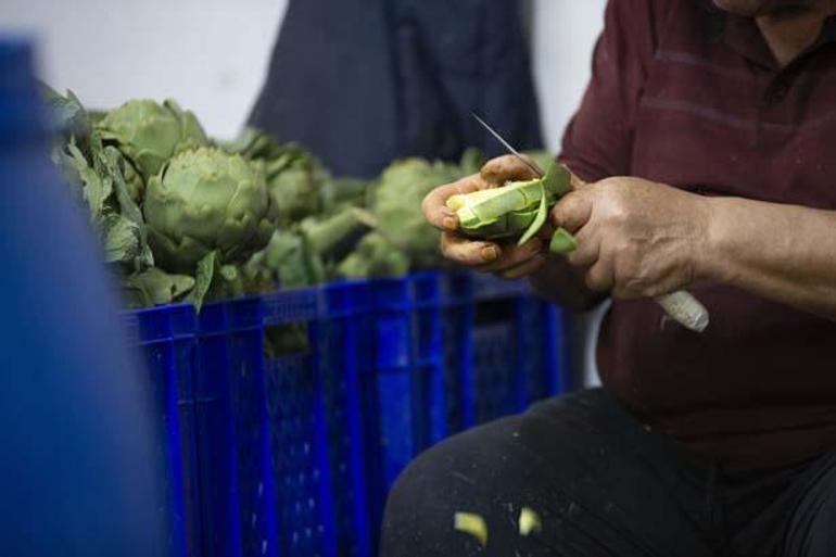 Eli hızlı 20 erkek ekip kurdu Günlük ortalama kazanç: 2 bin 500 TL