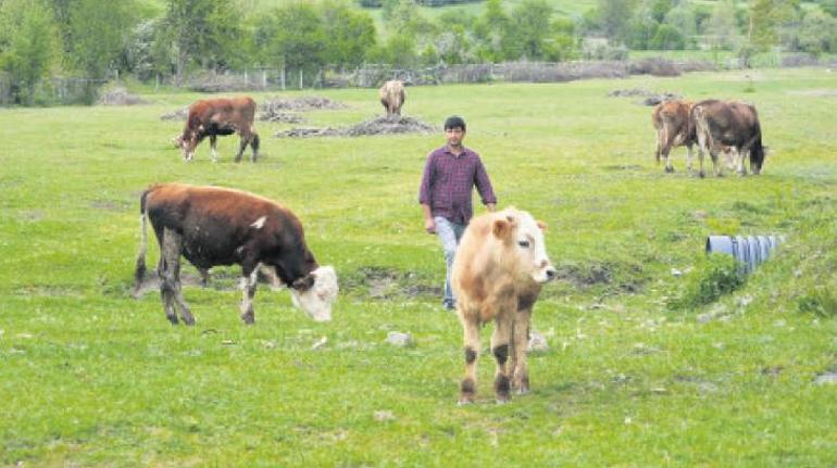 Gıda güvenliği için ‘gençlik’ harekâtı