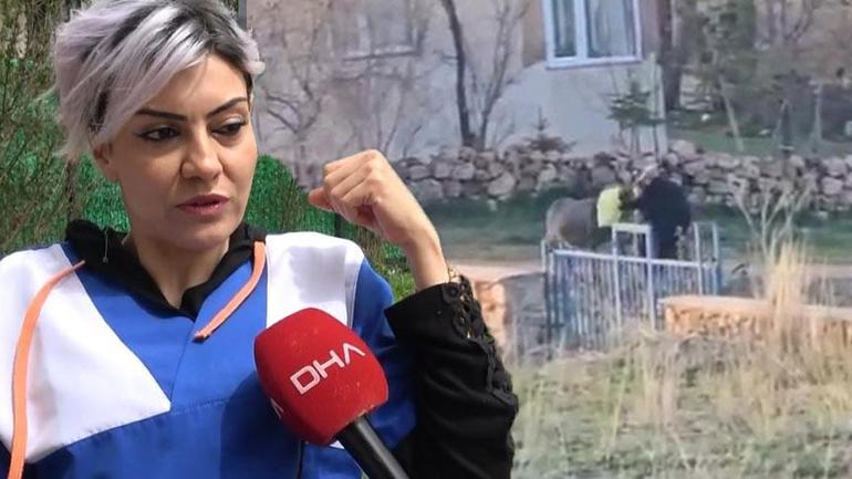 Korkunç olay 80 yaşındaki adam, eşeğin başına çuval geçirip döverek öldürdü
