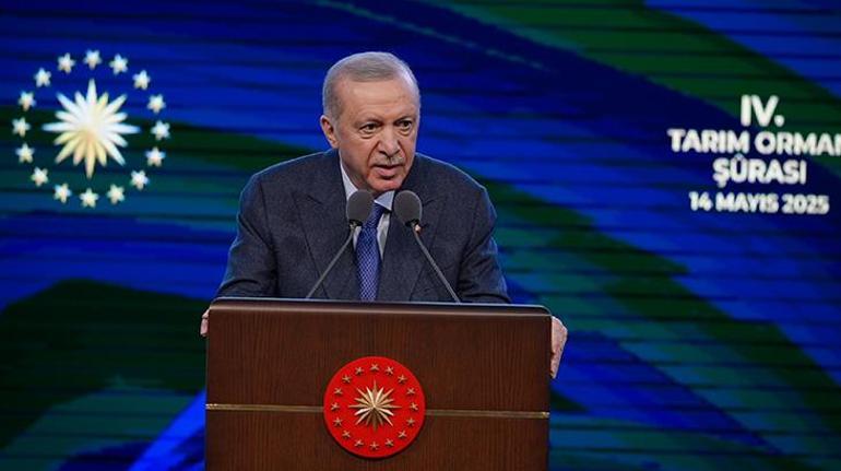 Cumhurbaşkanı Erdoğan: Ağaçlandırmada Avrupada 1, dünyada 4. sıradayız
