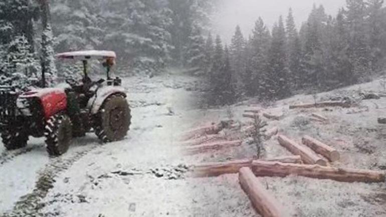 Fotoğraflar bugün çekildi Kar aniden bastırdı, birçok kent beyaza büründü