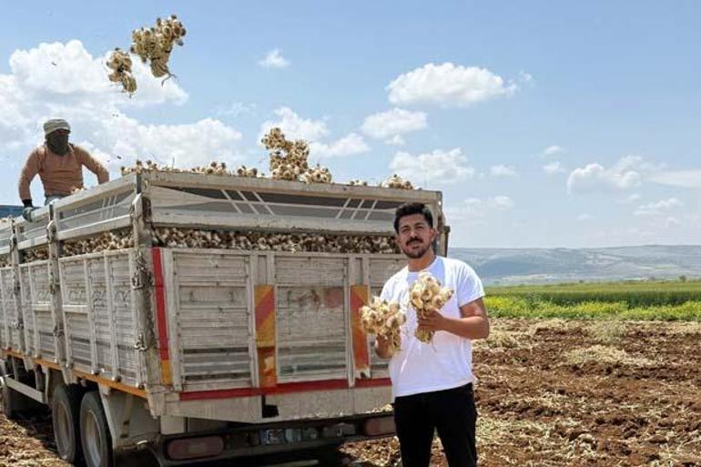Mühendis oldu Baba mesleği için tarlasına döndü