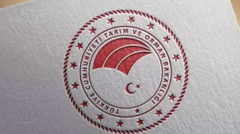 Tarım ve Orman Bakanlığı personel alımı 2025 | Tarım ve Orman Bakanlığı 8500 personel alımı 2025 şartları neler, başvuru ekranı açıldı mı, ne zaman açılacak