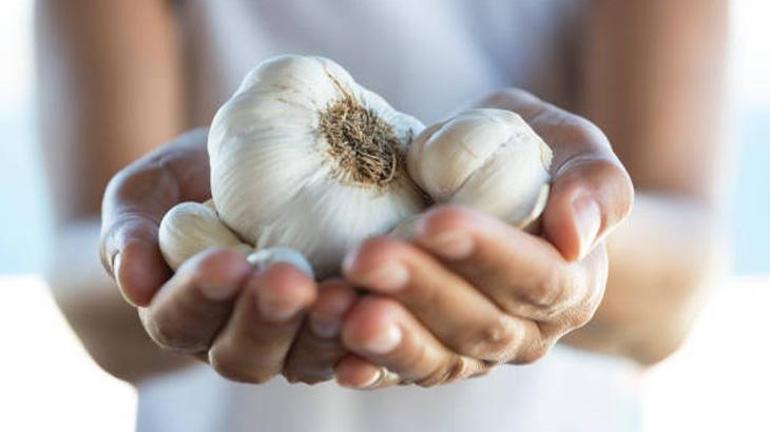 Sarımsakların içi hemen boşalıyor ve çürüyorsa çözümü çok basit Bu yöntemlerle yıl boyu taptaze kalacak