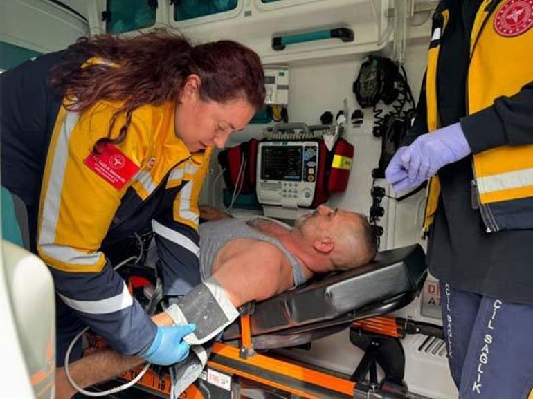 Bir arı yüzlerce kişiyi yolda bıraktı İstanbul-Bursa karayolu kapandı