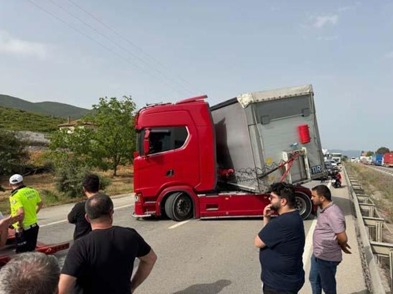 Bir arı yüzlerce kişiyi yolda bıraktı İstanbul-Bursa karayolu kapandı