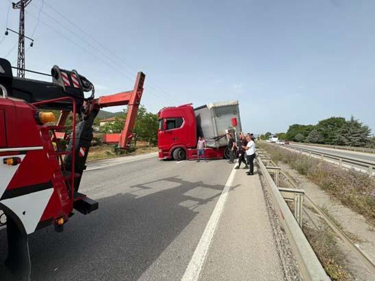 Bir arı yüzlerce kişiyi yolda bıraktı İstanbul-Bursa karayolu kapandı