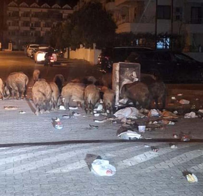 Marmarisi istila ettiler: Şehir karantinaya alınabilir, giriş çıkışlar kapatılabilir