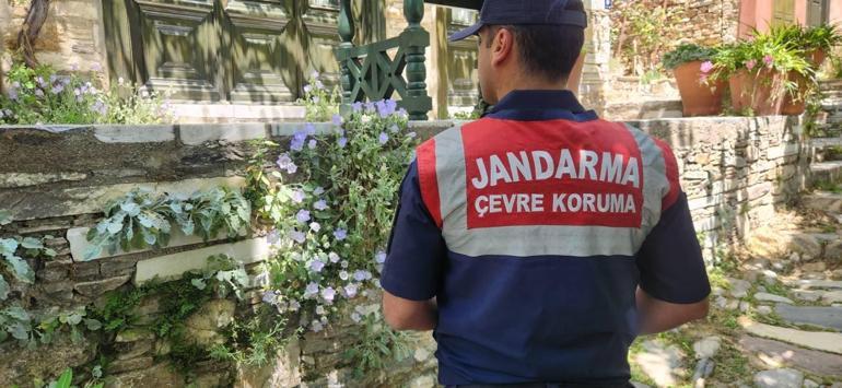 Dünyada sadece Türkiyede bulunuyor Jandarma başından ayrılmıyor