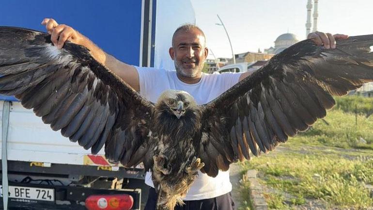 İstanbul’da çalılıkların arasında fark ettiler ‘Hiç görmemiştik ilk kez karşılaşıyoruz’
