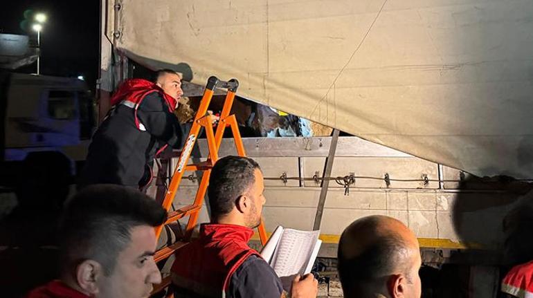Kurban Bayramı yaklaştı İstanbula kurbanlık hayvan girişleri başladı