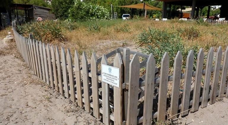 Çiçek deyip geçmeyin koparan yandı Cezası tam 387 bin TL