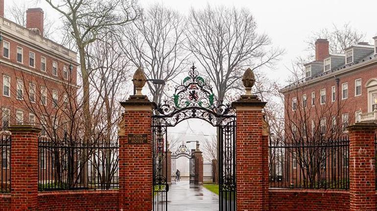 Harvard kararı öğrencileri dehşete düşürdü: Her yönüyle korkunç
